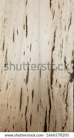 Similar – Image, Stock Photo Ingrown bark Wood