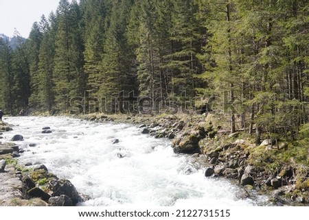 Similar – Image, Stock Photo Foamy mountain stream flowing through stones in sunlight