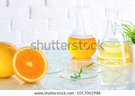 Health and Beauty background Citrus essential, research and sample natural organic concept in vitamin c , beauty care aroma therapy. Foto stock © 