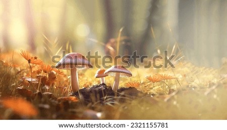 Similar – Image, Stock Photo Autumn wild mushrooms on purple tabletop. Edible honey fungus