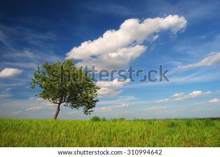 Single tree with clouds in the summer / Lone tree