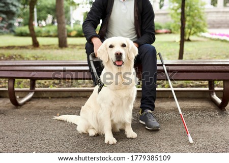 Shutterstock Puzzlepix