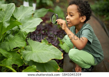 little african american kid boy look at plant using magnifier, want to know about nature everything, learn gardening and plants, flowers