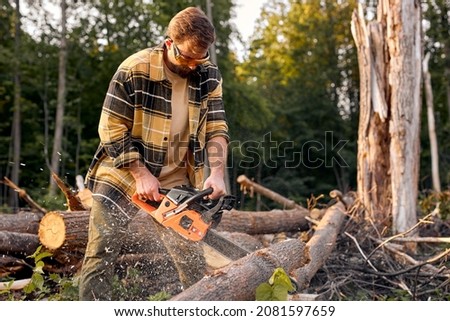 Image, Stock Photo Man is cutting wild oregano in the mountain