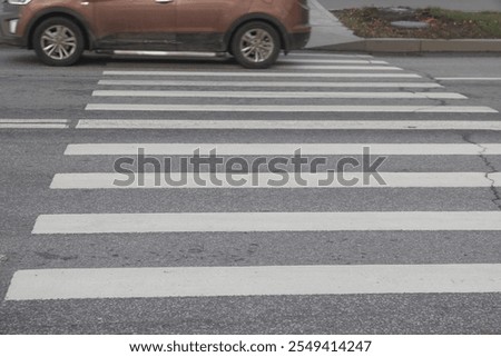Similar – Image, Stock Photo car free street crossing in the winter sun