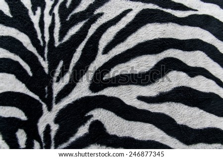 texture of print fabric stripes zebra for background, closeup