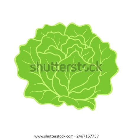 Fresh green organic lettuce, healthy meal option icon isolated. Vector illustration