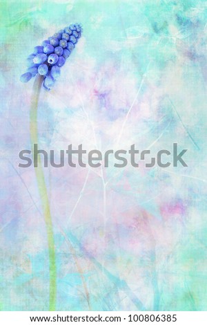Similar – Image, Stock Photo Dreamy grape hyacinth