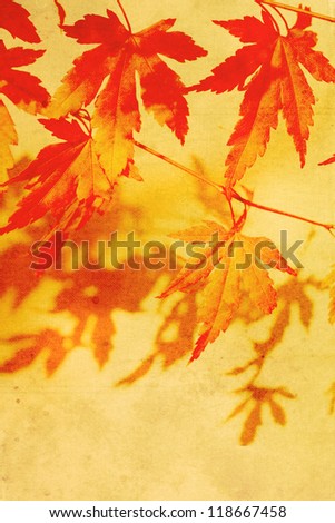 Old, stained, dreamy, brown background with maple leaves