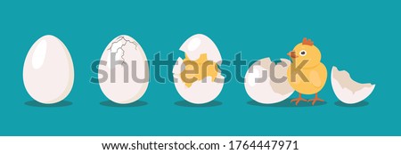 Hatching bird process set. Baby chicken birth from egg. Flat vector illustrations can be used for farming, poultry, Easter concept