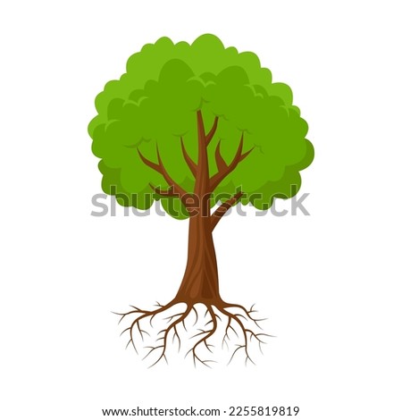 Tree And Roots Drawing | Free download on ClipArtMag