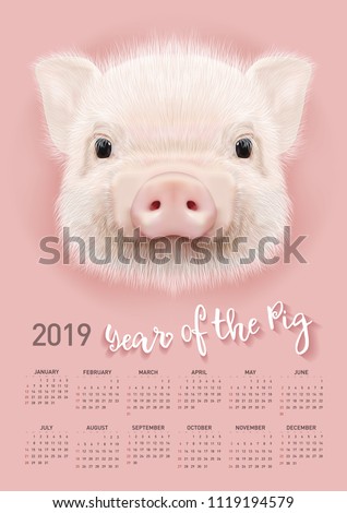 Pig calendar for 2019. Vector editable template with concept. Symbol of the year in the Chinese calendar. Realistic vector illustration.