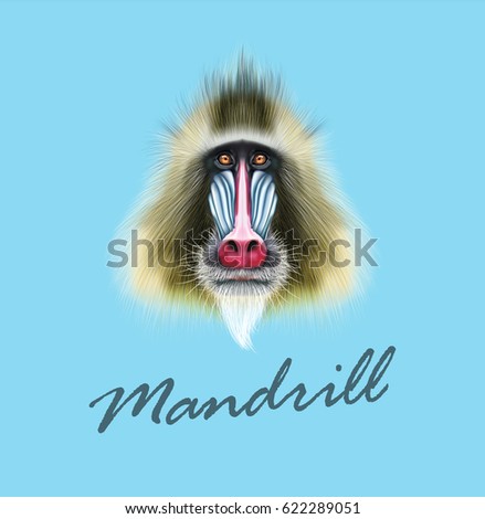 Vector Illustrated portrait of Mandrill monkey. Cute fluffy face of primate on blue background.