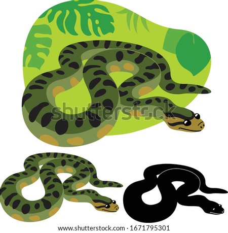 Anaconda snake from south america on the background of green tropical leaves