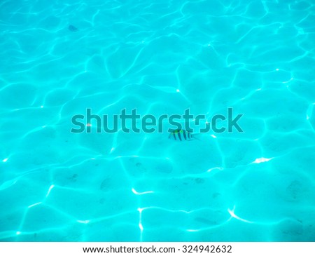 Soft focus of Underwater Photos which has sandy bottom and underwater lighting in Tropical Coast