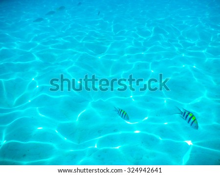 Soft focus of Underwater Photos which has sandy bottom and underwater lighting in Tropical Coast