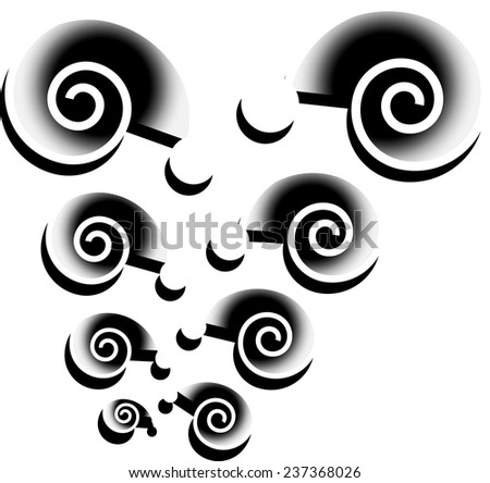 black/white design, snail shells