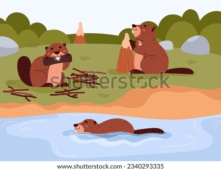Cute cartoon beavers gnaw at tree, collect branches near the river, float. Rodentia semiaquatic mammals. Brown short-haired wild animal with large flat tail. Vector wildlife landscape illustration