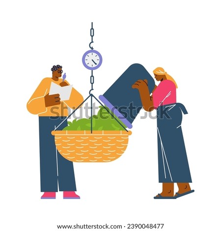 Woman pouring tea leaves into basket on scales and man write down weight. Tea harvest time. Flat isolated vector illustration.