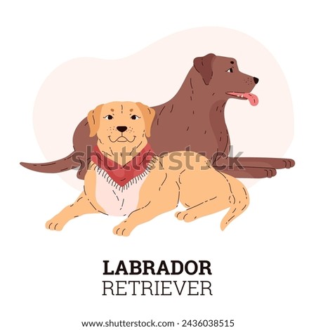Chocolate and golden Labrador retrievers sitting together. Portrait of cute animals in front and profile. Vector flat design of pets flyer with space for text.