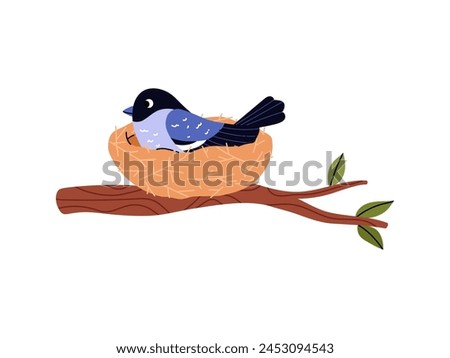 Blue chick hatches eggs in the nest on the tree branch. Cute tit bird family house vector flat illustration. Wildlife, nestling. Cartoon element of nature isolated on white