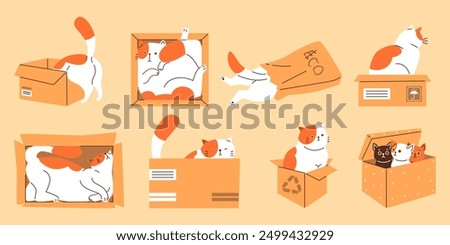 Cute cats playing, lying and sitting inside in cardboard or paper bag in different poses vector flat set. Funny hiding kitten, looking out. Cartoon fluffy domestic animal in box, feline pets isolated