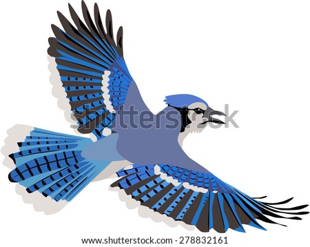 Blue Bird Holding Sign Clipart Picture Cartoon Character Blue Jay Clipart Stunning Free Transparent Png Clipart Images Free Download - jay folder roblox
