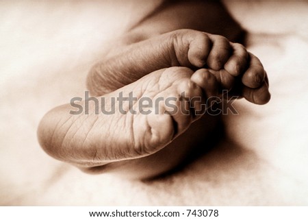 Close up of newborn babies feet curled up together
