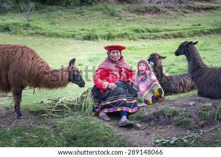 24 APR 2015 : Local Peruvian feeding thier Alpaca, Cusco, Peru