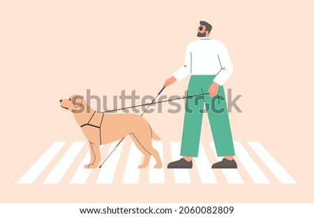 Man with a guide dog walking. Person who is visually impaired or blind crossing a street crosswalk with a cane and seeing-eye labrador. Inclusive city space. Isolated flat vector illustration