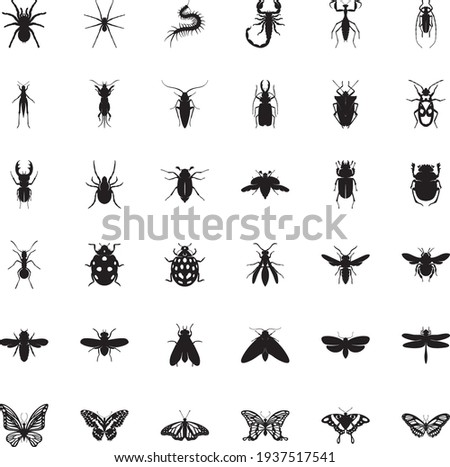 Collection of black insects isolated on a white background. Vector elements for your design.