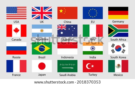 G20 flag icon. China, korea, brazil, mexico, usa, japan, indonesia, canada, france, argentina, saudi arabia, india, germany, south africa, italy, australia, turkey, russia, uk constitute g 20. Vector.