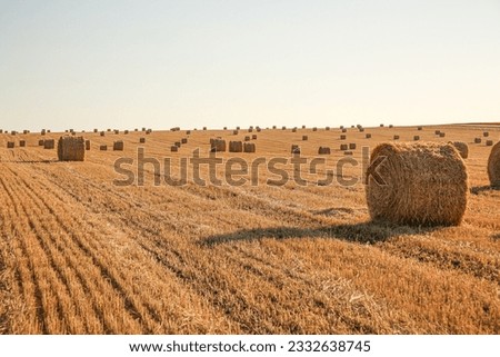 Similar – Image, Stock Photo Field with straw roll points