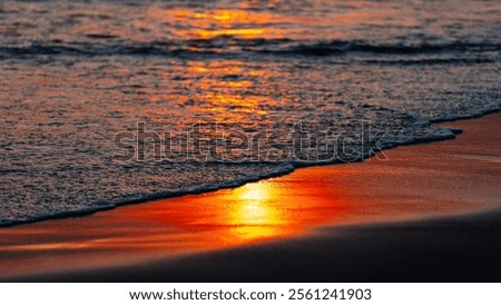 Similar – Image, Stock Photo Wet ocean beach sand with dark wild seaweed. Low tide ocean shore scenery in Ireland.