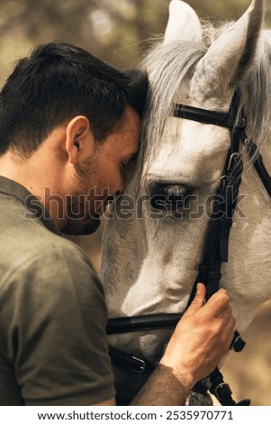 Similar – Image, Stock Photo Moment of a horse Horse