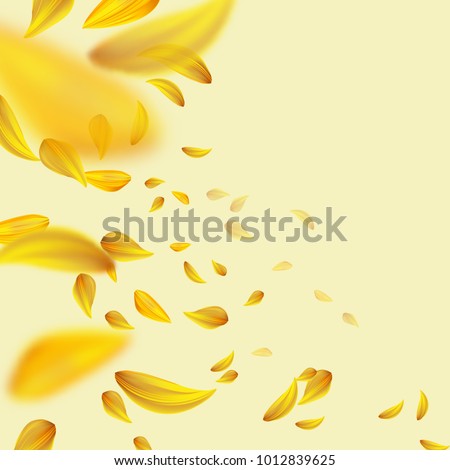 Similar – Image, Stock Photo beautiful yellow flowers in the garden in spring season