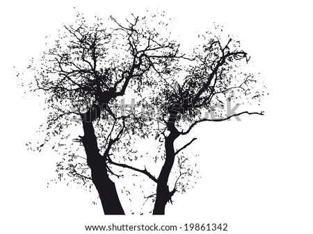 tree vector design