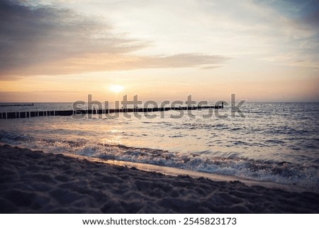 Similar – Image, Stock Photo Seagulls sitting in even rows on tree stumps