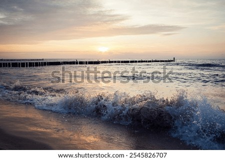 Similar – Image, Stock Photo Seagulls sitting in even rows on tree stumps