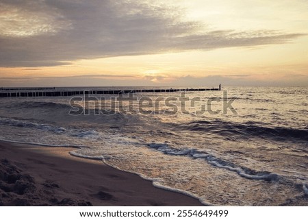 Similar – Image, Stock Photo Seagulls sitting in even rows on tree stumps