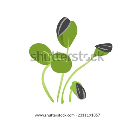 Green sprouts microgreen concept. Nature and wild life. Organic plant, gardening and farming. Ingredient for salad. Social media sticker. Cartoon flat vector illustration isolated on white background