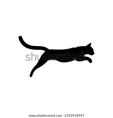 Similar – Image, Stock Photo black cat jumps in the air