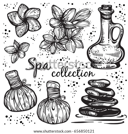 Spa collection. Hand-drawn beautiful elements in linear style. Isolated vector illustration. Natural cosmetics, aroma, oil, massage. Asia, India, Thai.