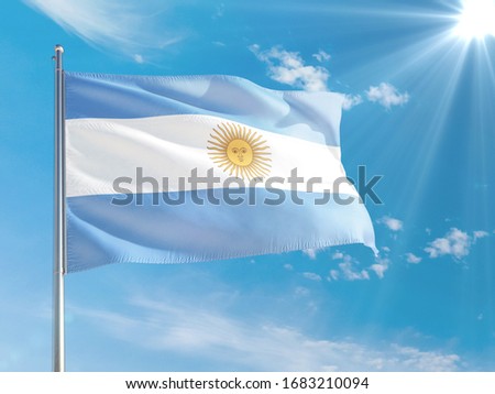 Argentina Flag National Colours High Quality Fridge Magnet 