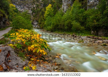 Canyon in the alps in fall Zdjęcia stock © 