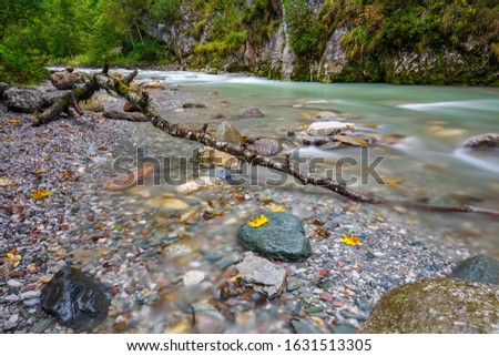 Creek with white water in the alps Zdjęcia stock © 