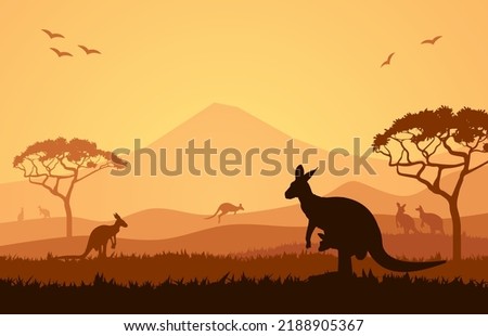 Australian Landscape Illustration Vector Design. Kangaroo In Savannah Illustration Art.  Animal Scenery At Australian Safari Park.