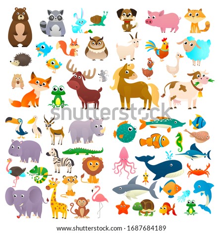 Cartoon animals. Big collection sea animals, wild animals, woodland animals. 