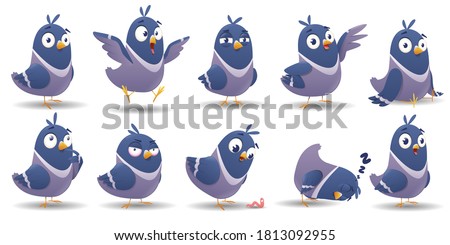 Cartoon bird character set. Icon set of pigeon bird with different poses and emotions isolated on white background. Illustration of color bird animal. Vector illustration