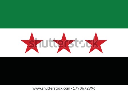 Vector Illustration of the Flag of Syrian National Coalition